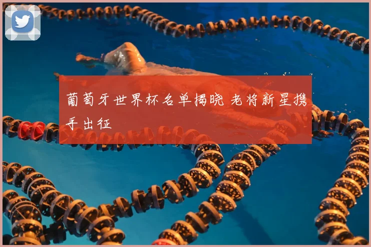 葡萄牙世界杯名单揭晓 老将新星携手出征