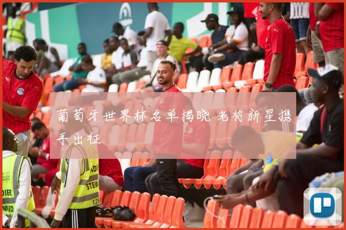 葡萄牙世界杯名单揭晓 老将新星携手出征