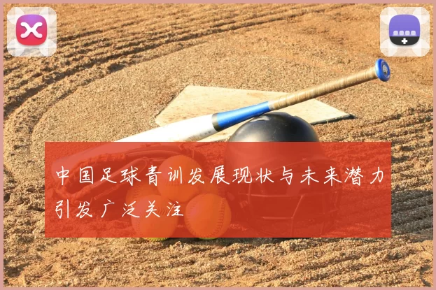 中国足球青训发展现状与未来潜力引发广泛关注