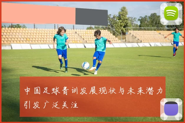 中国足球青训发展现状与未来潜力引发广泛关注