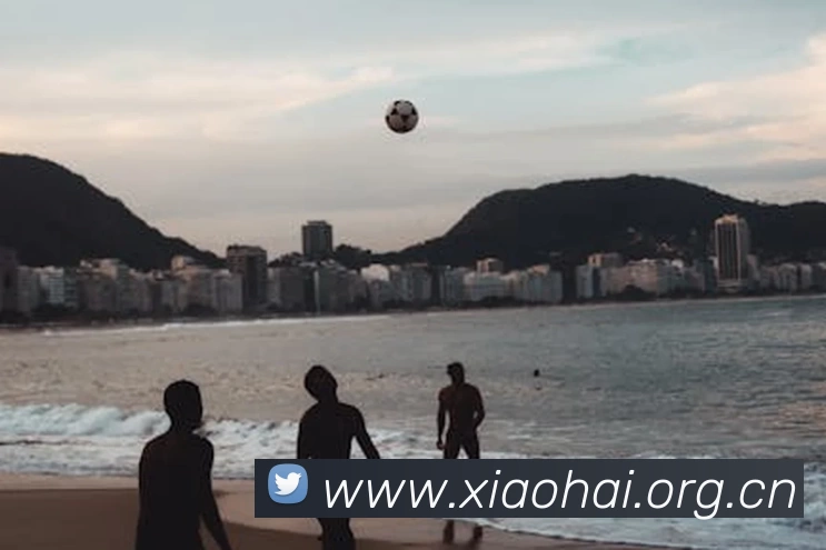 九游·官方站入口 - JiuYou j9(中国)APP 封面图